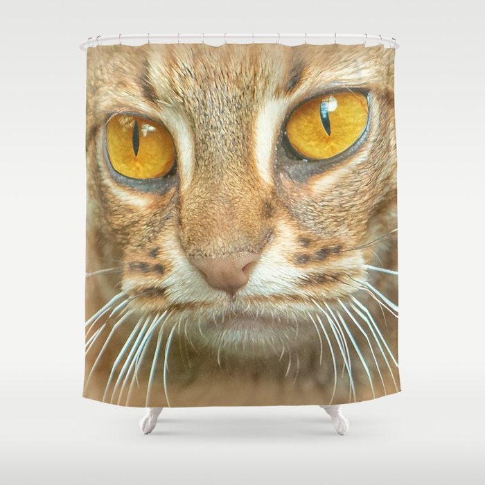 AMBER-EYED BEAUTY Shower Curtain