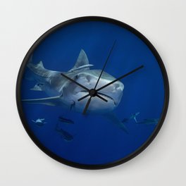Tiger Shark 1 Wall Clock