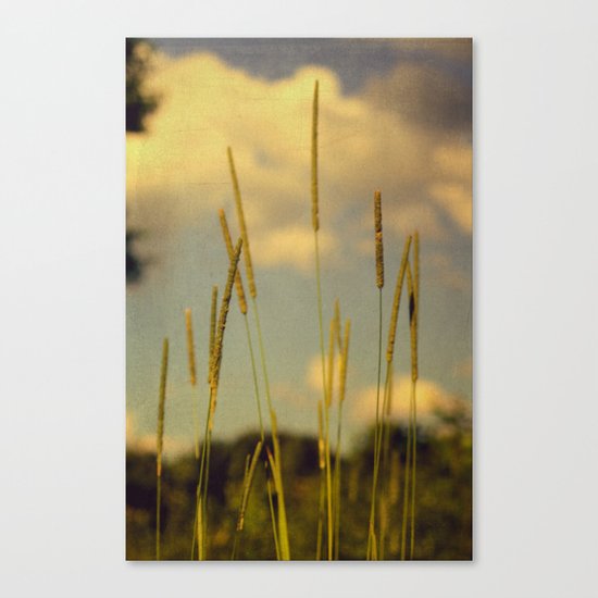 A Place to Breathe Canvas Print
