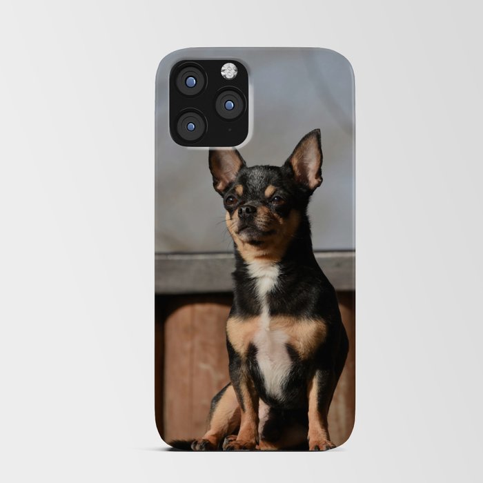 Pet Dog Chihuahua Walks On Street 1373 iPhone Card Case