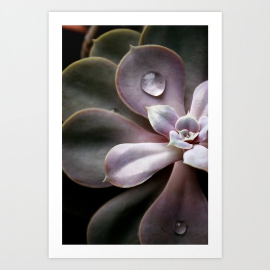 Untitled Art Print