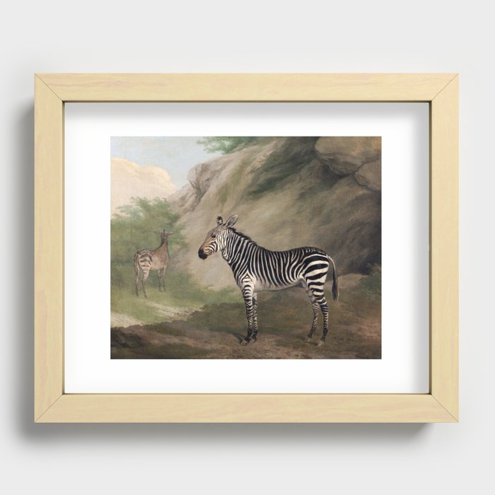 Zebra Recessed Framed Print