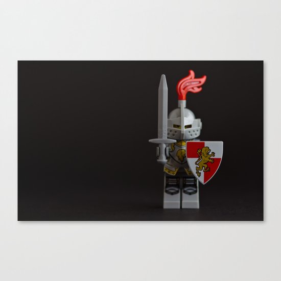 An experiment in DOF Canvas Print