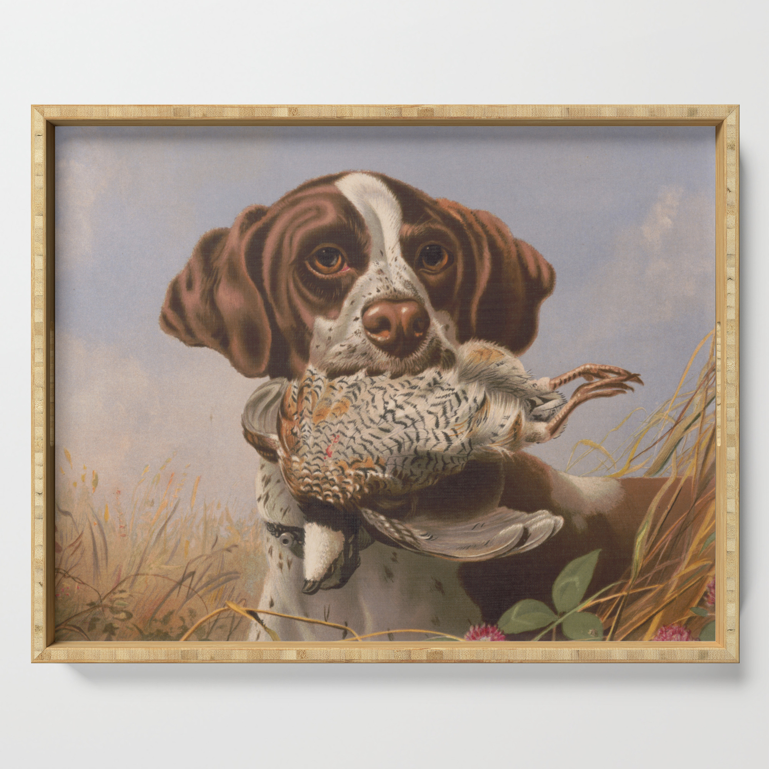 Vintage English Pointer Hunting Quail Painting 1869 Serving Tray By Bravuramedia Society6