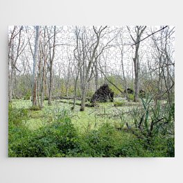 Fallen Tree in the Swamp Jigsaw Puzzle