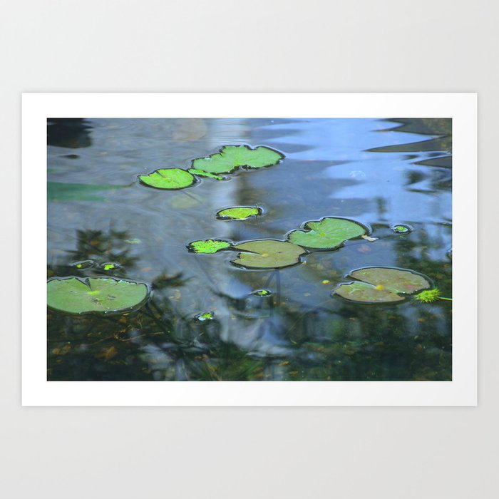 pond Art Print