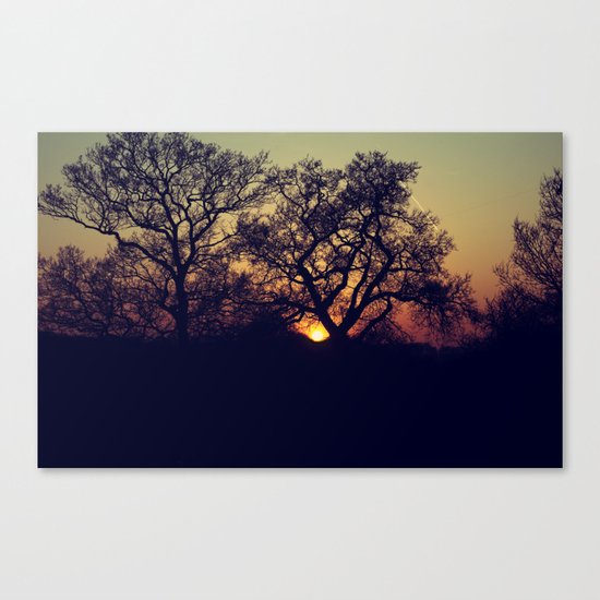 Sunset Canvas Print