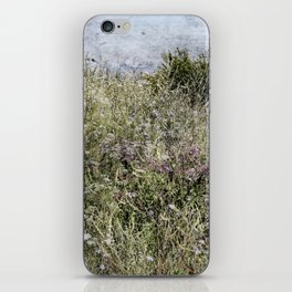 Vintage countryside summer Chicory field camping scene iPhone Skin