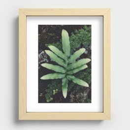 Tropical Green Fern Plant Leaves Moss Nature Photography Recessed Framed Print