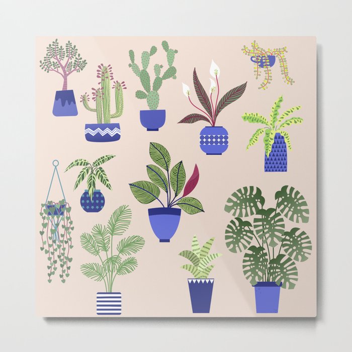 Houseplants Succulents and Cacti Metal Print