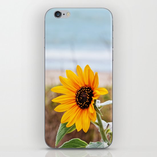 Sunflower near ocean iPhone & iPod Skin