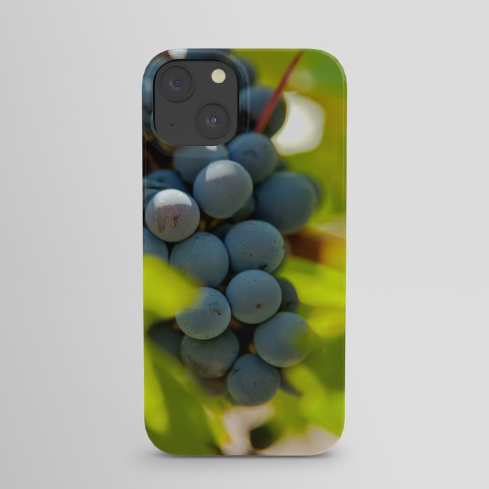 Grapes 2 iPhone Case