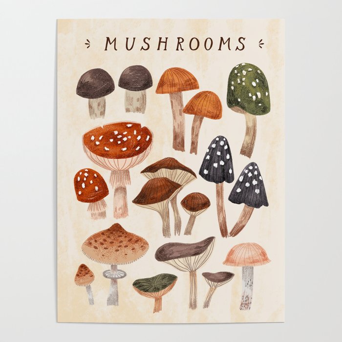 Mushrooms Poster | Painting, Digital, Pattern, Illustration-art, Mushrooms-print, Mushroom, Digital-art, Vintage-inspired, Nature-illustration, Fungi-illustration