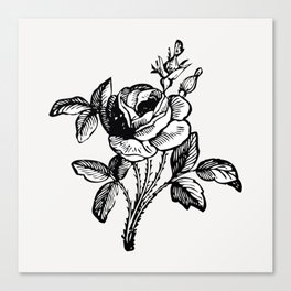 Rose Cutting Canvas Print