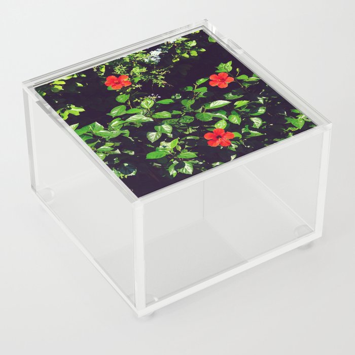 Red Flowers among Green Leaves | Tropical Botanics Acrylic Box