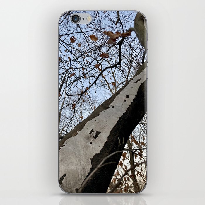 Follow the Path Up iPhone Skin