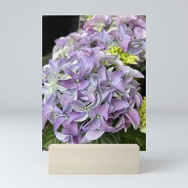 Lavender Hydrangea Mini Art Print