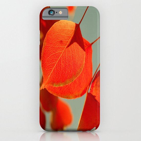 Orange iPhone & iPod Case
