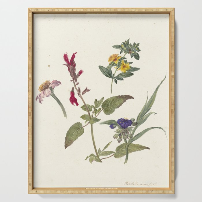 Pieter Ernst Hendrik Praetorius - Studies of wild flowers (1837) Serving Tray
