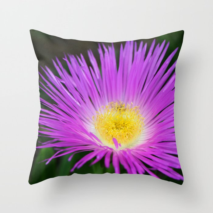Ice Ice Baby - Flower Photography by Sharon Cummings Throw Pillow