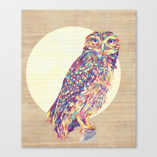 Owl Canvas Print