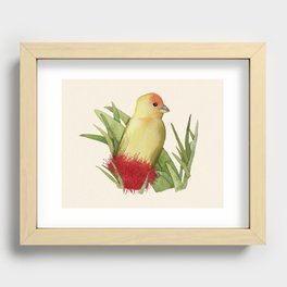 Saffron Finch Recessed Framed Print