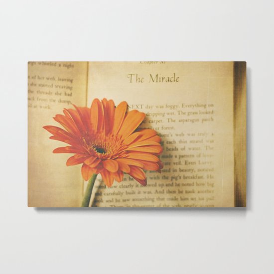 The Miracle Metal Print