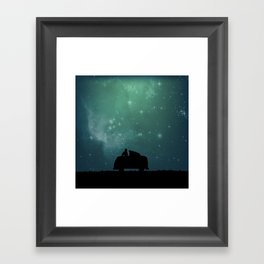 Looking Up at the Night Sky Framed Art Print