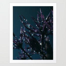 Flowers in the dark | Photo flower art pring Art Print