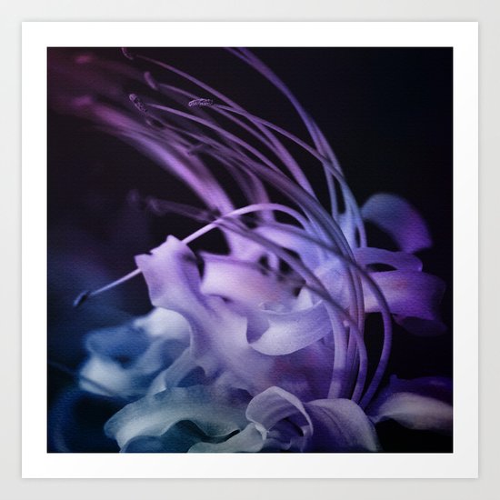 Dream Flower 9 Art Print