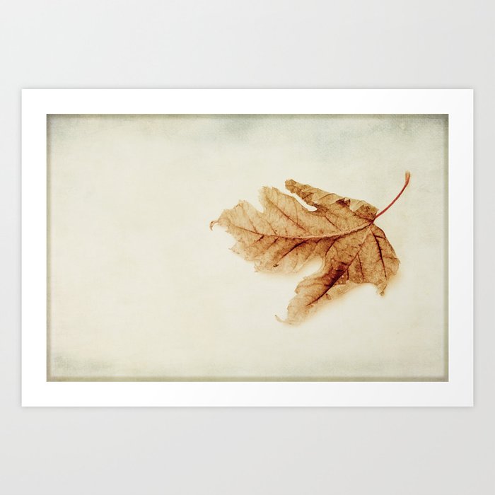 a simple leaf Art Print