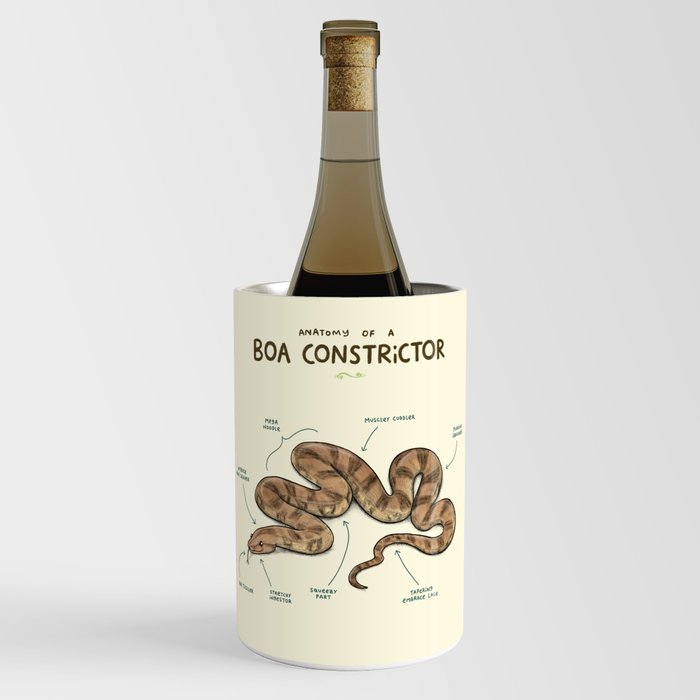 Anatomy of a Boa Constrictor Wine Chiller