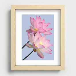 Lillies Recessed Framed Print