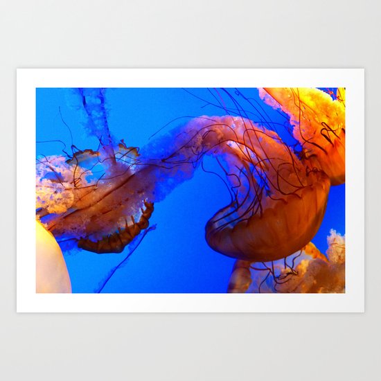 The Jellies Art Print