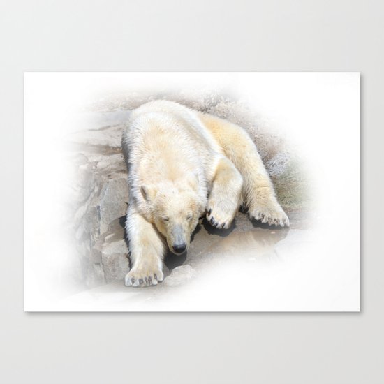 Polar Bear Canvas Print