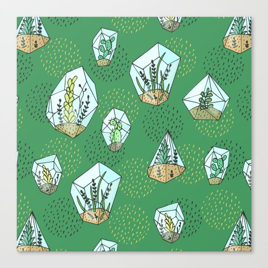 Green succulents in the glass vase Canvas Print