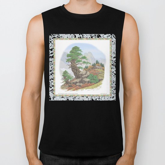 OLD HEMLOCK CABIN ON PTARMIGAN RIDGE Biker Tank