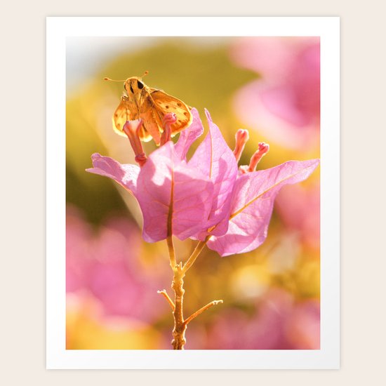 Fascinated Art Print