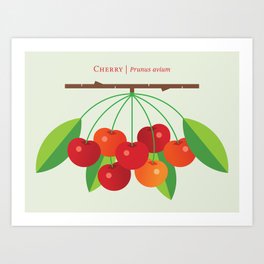 Fruit: Cherry Art Print | Modern, Cherrycute, Natureseries, Cherrybranch, Fruit, Botanical, Fruitposter, Cherries, Minimalist, Graphicdesign 