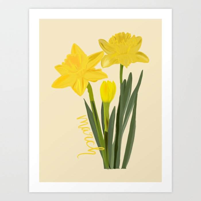 March Daffodil Flower Art Print