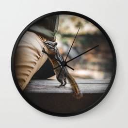 Hungry Chipmunk In Rocky Mountain National Park Colorado Wall Clock