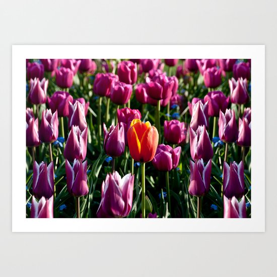 The Perfection - Ansu Art Print