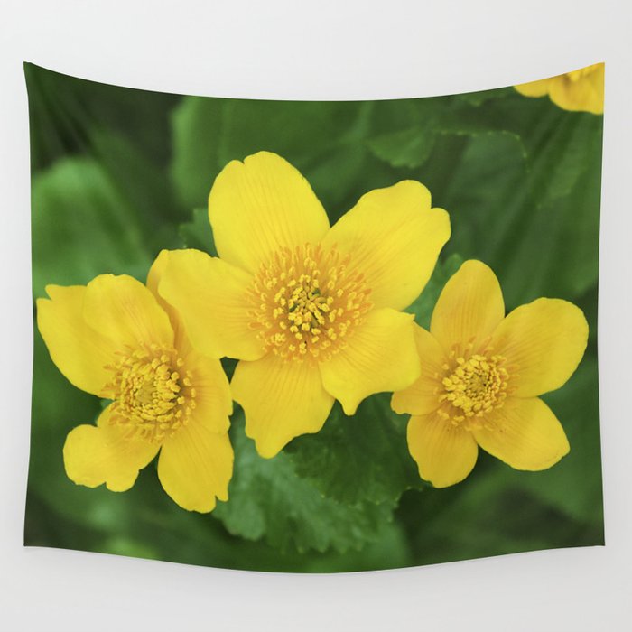 Marsh Marigold Caltha Palustris Wall Tapestry By Rvjdesigns Society6