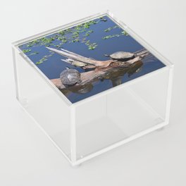Turtles Acrylic Box