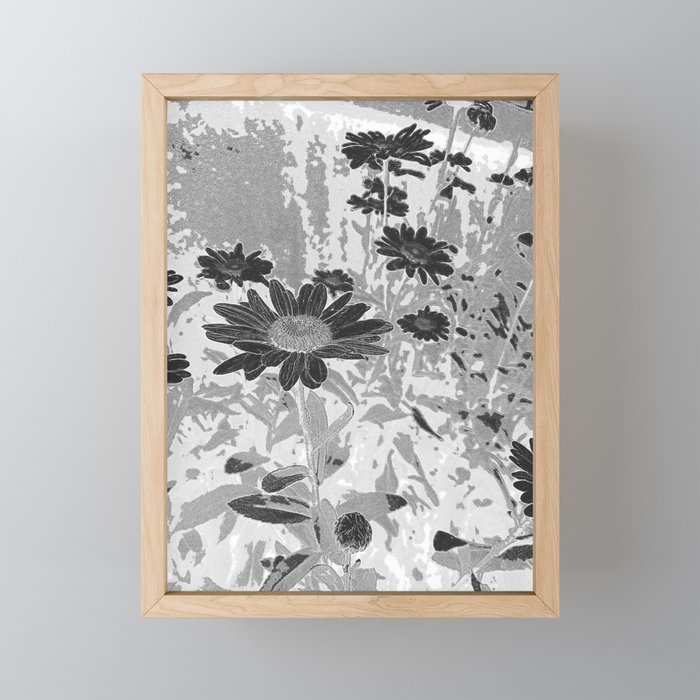 Black & White Daisies Framed Mini Art Print