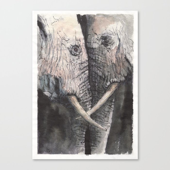 Elephant couple Canvas Print