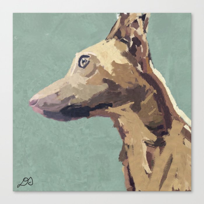 Whippet Wonder Canvas Print by debjl