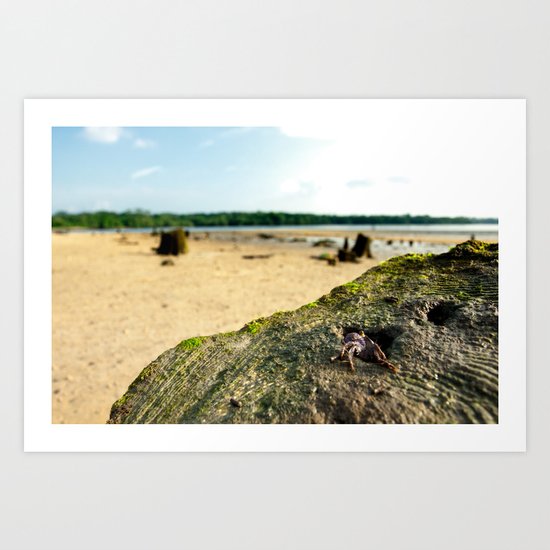 Peaking. Art Print