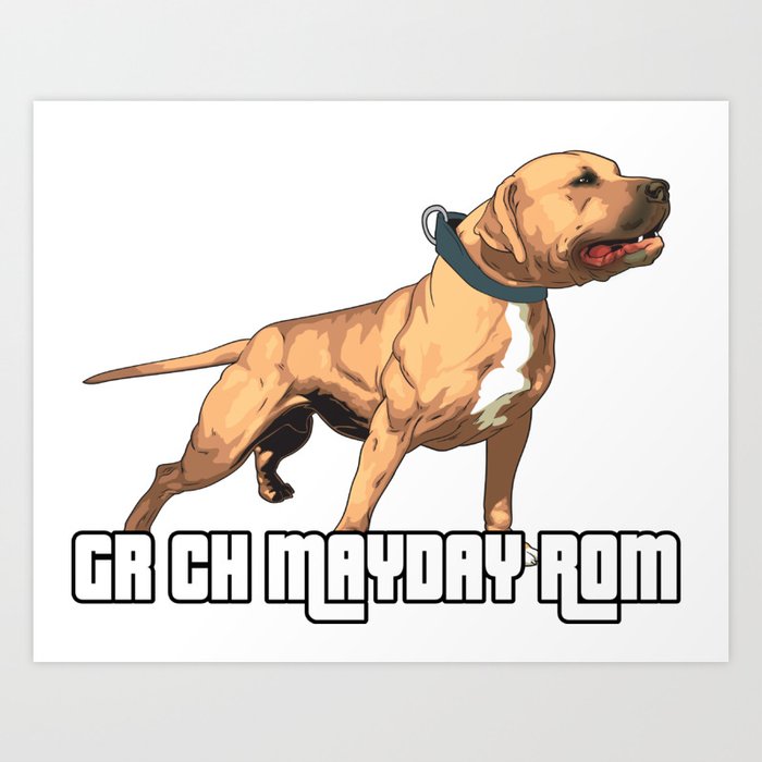 Mayday apbt sales