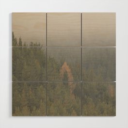  Spring Misty Morning Pine Forest in the Scottish Highlands Wood Wall Art